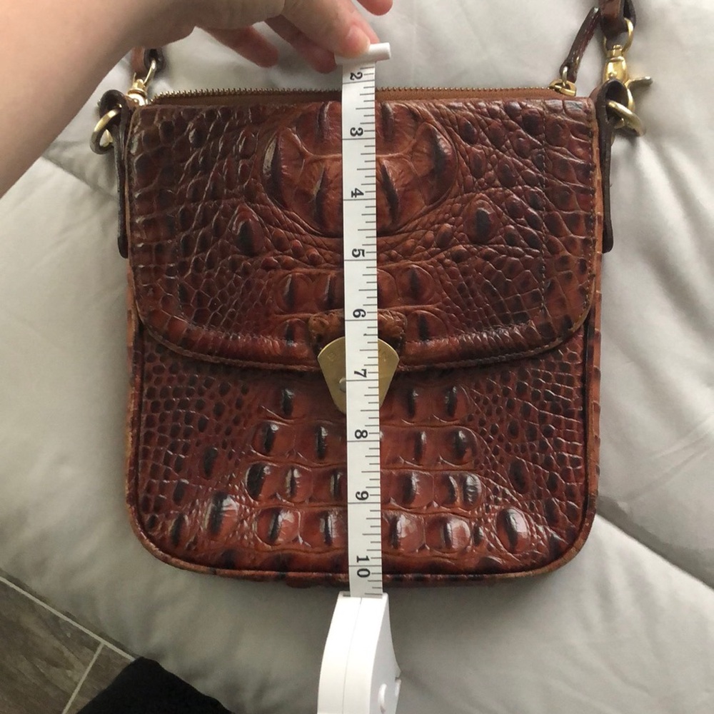 Additional Brahmin Photos